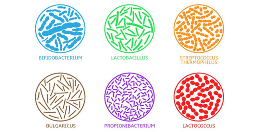 Kratom World Probiotika Verkauf Kratom Effekte Dosierung Verkauf