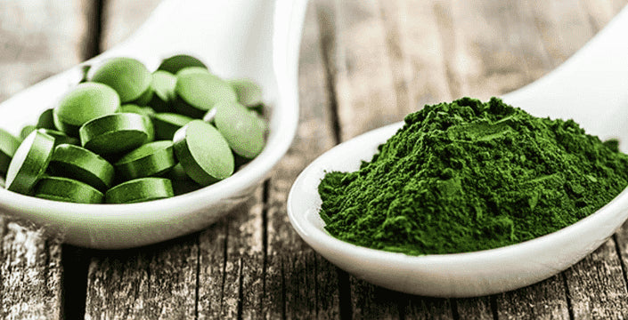chlorella kratom world green algae
