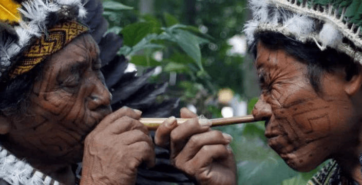 Kratom World Rapé Nicotiana Nicotine Rapé Selling Germany