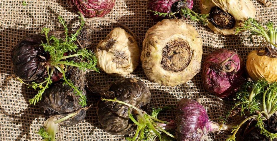 Ashwagandha, Maca, Shilajit: Adaptogene für Stress, Energie und Immunität