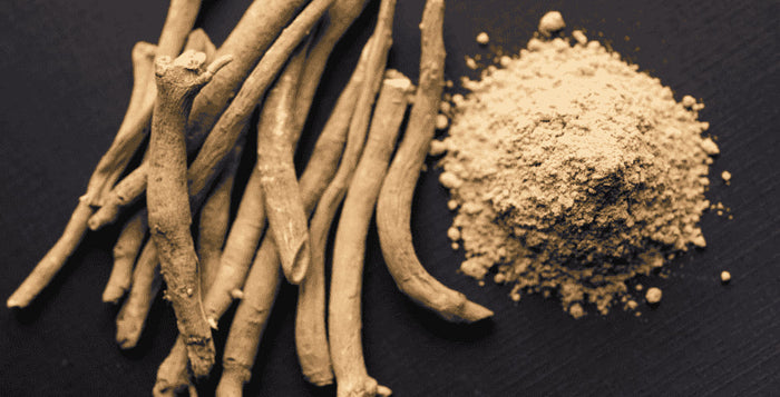 Ashwagandha Wohlbefinden Stressmanagement Schlaf Kratom World