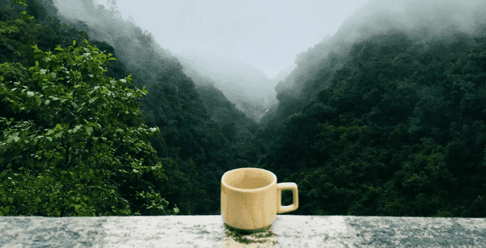 Kratom Tee: Alle Informationen im Überblick