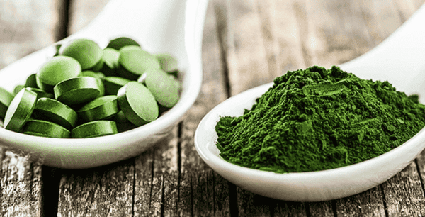 Chlorella of Green Superfood met vele voordelen - Kratom World