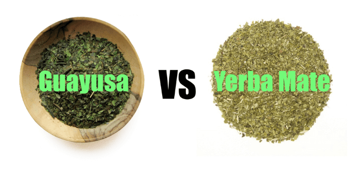Yerba Maté und Guayusa (Wayusa) und wie unterscheiden sie sich