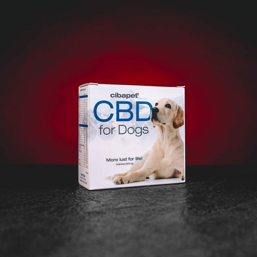 CBD Pastillen für Haustiere