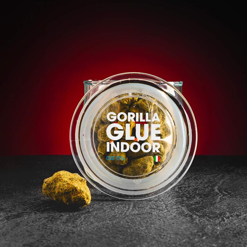 CBD Indoor Gorilla Glue 15%