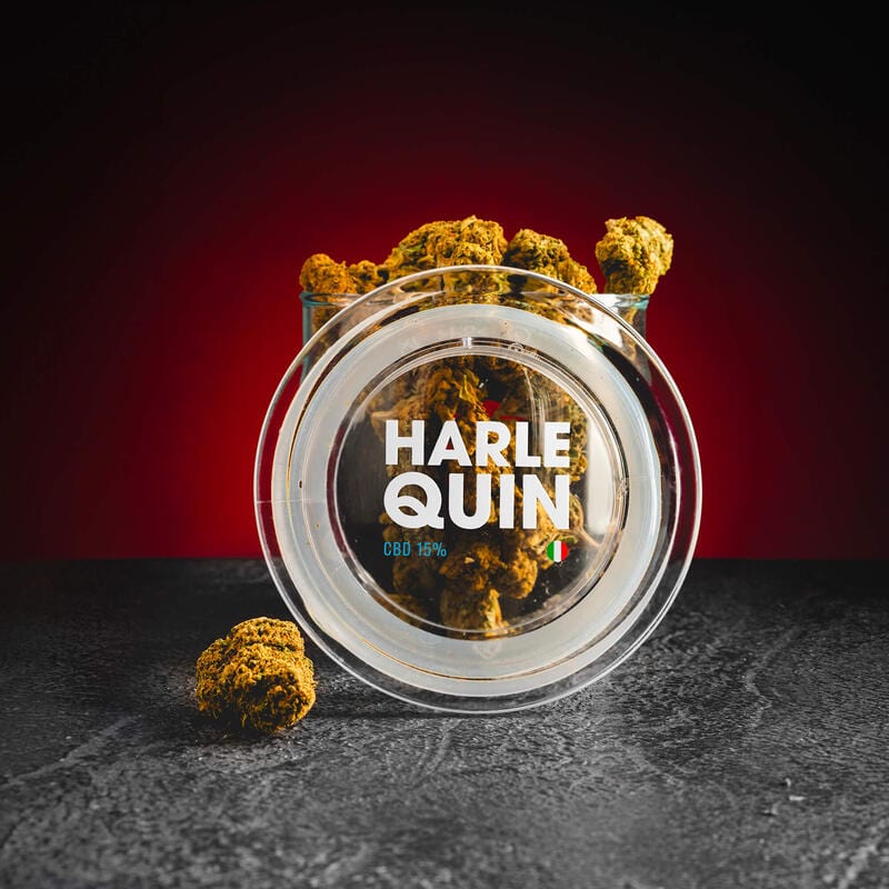 CBD Harlequin 15%