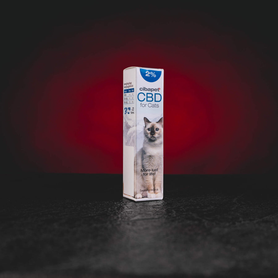 kratom world cbd öl für katzen kratomworld verkauf CBD Öl für Katzen 2 % 10 ml mit sanfter CBD-Konzentration, natürliches Nahrungsergänzungsmittel für empfindliche Katzen, hergestellt mit Fischöl und Vitamin E, ohne Terpene, geeignet zur täglichen Unterstützung von Wohlbefinden, Balance und Lebensqualität von Katzen, einfache Anwendung direkt oder im Futter