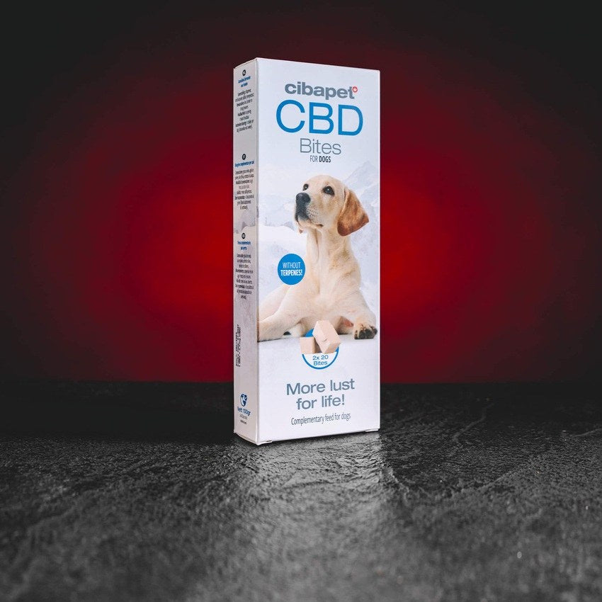 CBD Snacks für Hunde