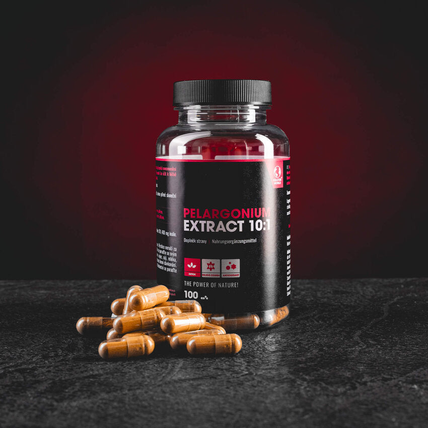 Pelargonium Extrakt 10:1 Kapseln 100 Stk