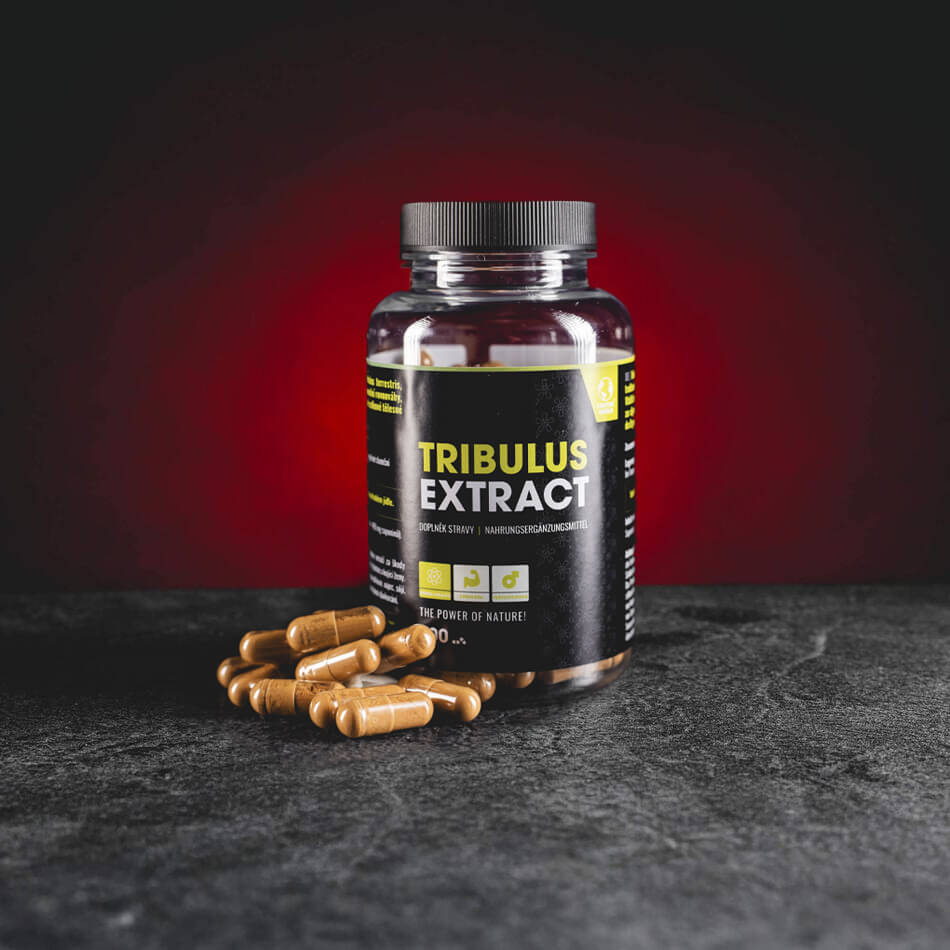 Tribulus Extrakt 98% Kapseln 100 Stk
