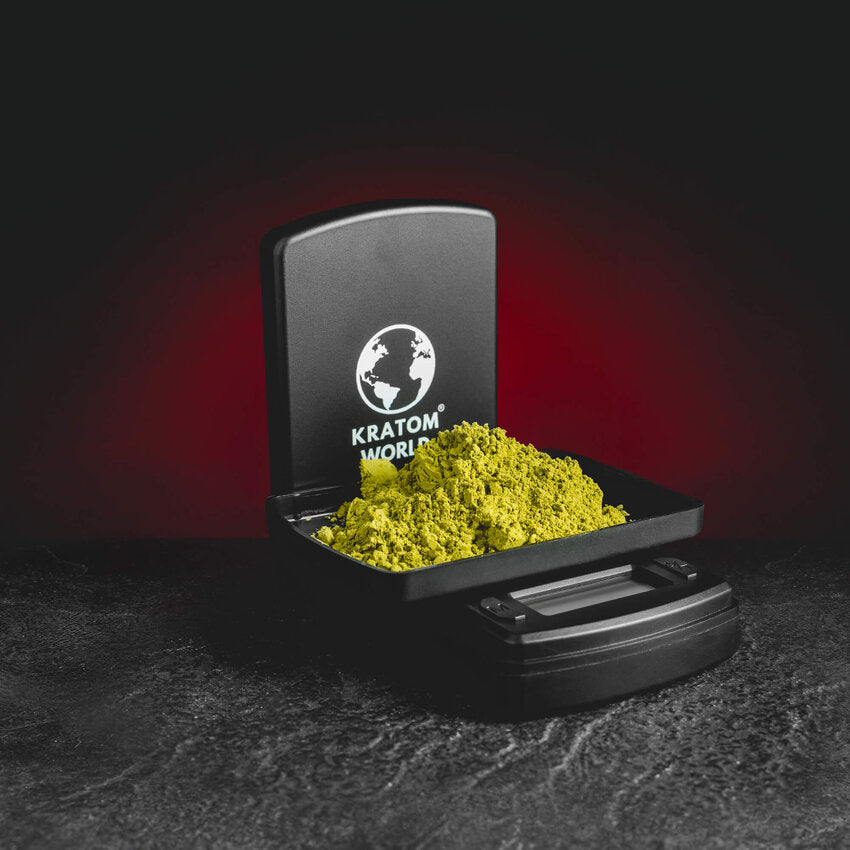 Taschenwaage (500GX0,1G)